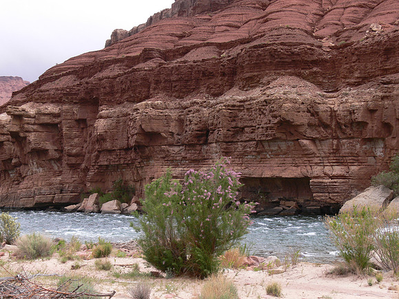 UtahTW2007 384.jpg