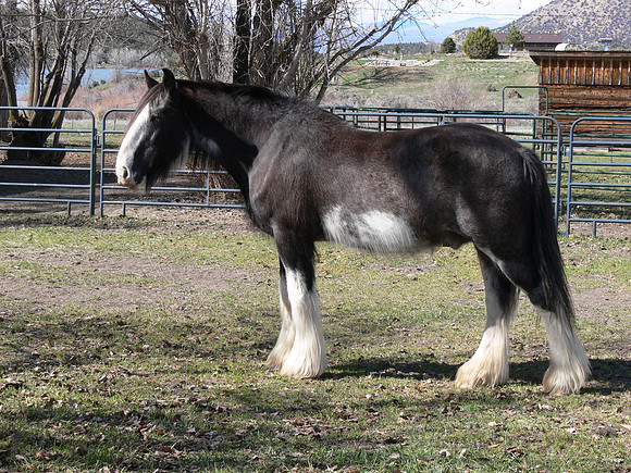 UtahTW2007 575.jpg