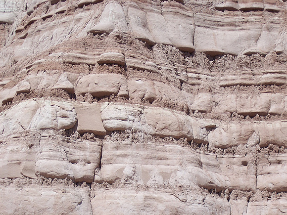 UtahRW2007 249.jpg