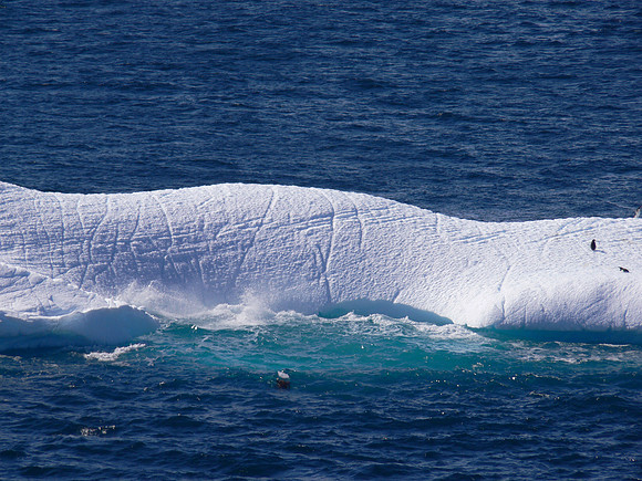 Neumayer Channel - Antarctica