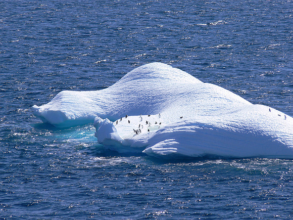 Neumayer Channel - Antarctica