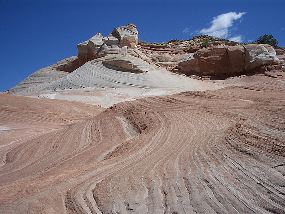 UtahRW2007 214.jpg