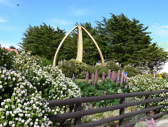 Falkland Islands / Las Malvinas