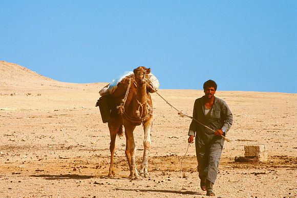 The Oasis at Siwa, Egypt