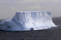 Elephant Island, Antarctica