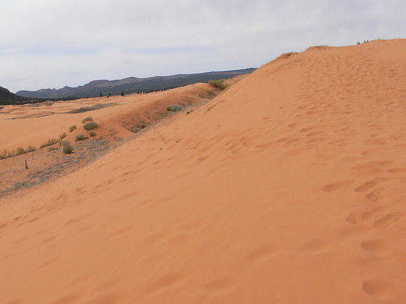 UtahTW2007 304.jpg