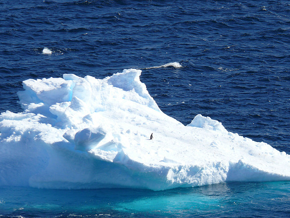 Neumayer Channel - Antarctica