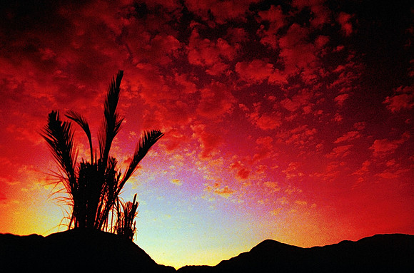 Subset on the Nile