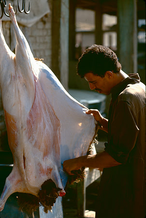 The Cairo camel market (Sug al Gimaal)
