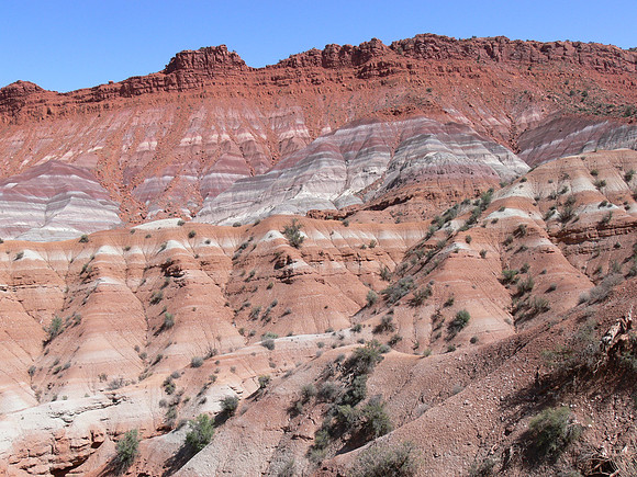 UtahTW2007 206.jpg