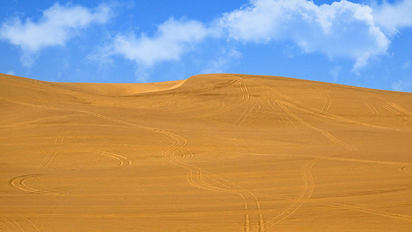 Miles of Dunes run along the coastal desert