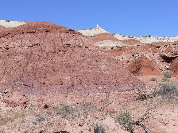 UtahTW2007 200.jpg