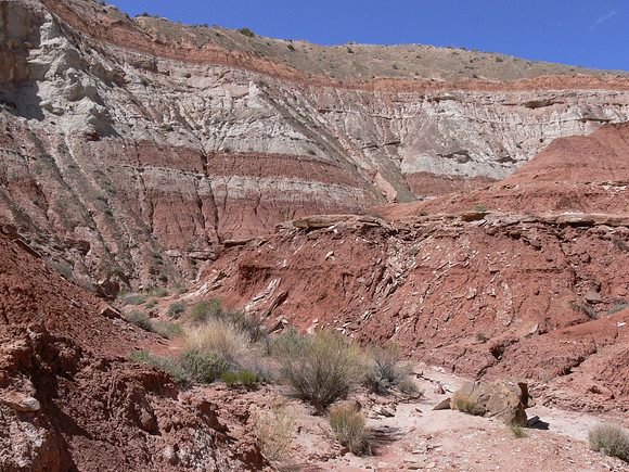 UtahTW2007 197.jpg