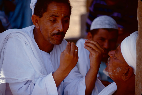 The Cairo camel market (Sug al Gimaal)
