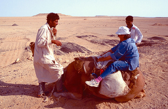 The Oasis at Siwa, Egypt