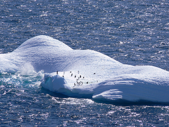Neumayer Channel - Antarctica