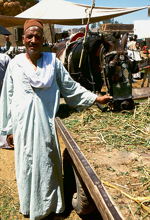 The Cairo camel market (Sug al Gimaal)