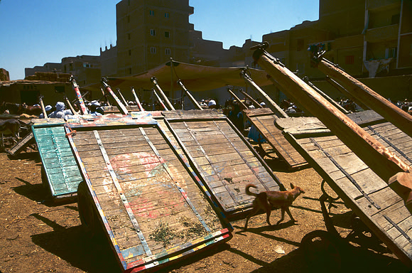 The Cairo camel market (Sug al Gimaal)