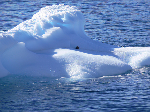 Neumayer Channel - Antarctica