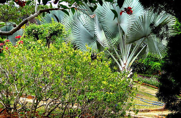 Truc Lam Zen Monastery