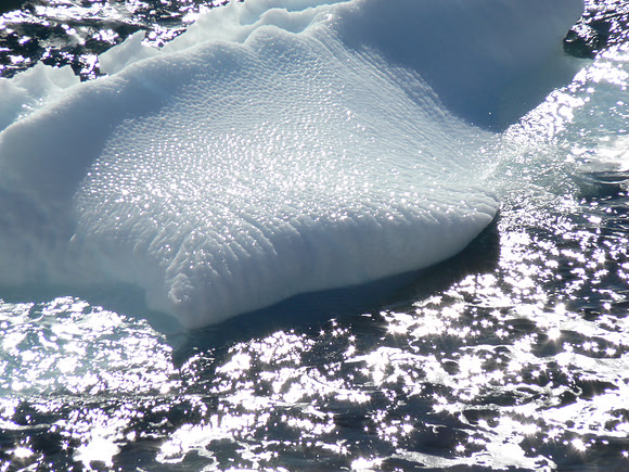 Neumayer Channel - Antarctica