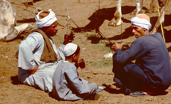 The Cairo camel market (Sug al Gimaal)