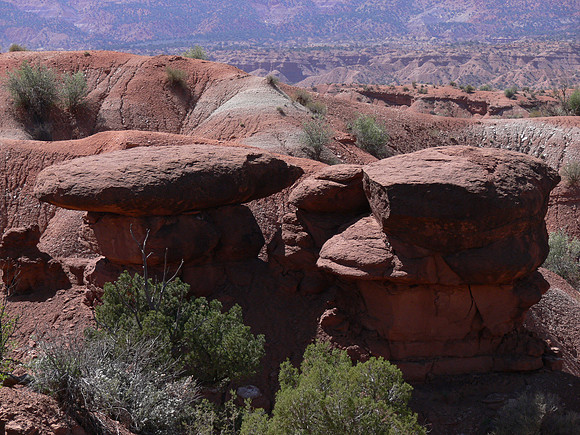 UtahTW2007 210.jpg
