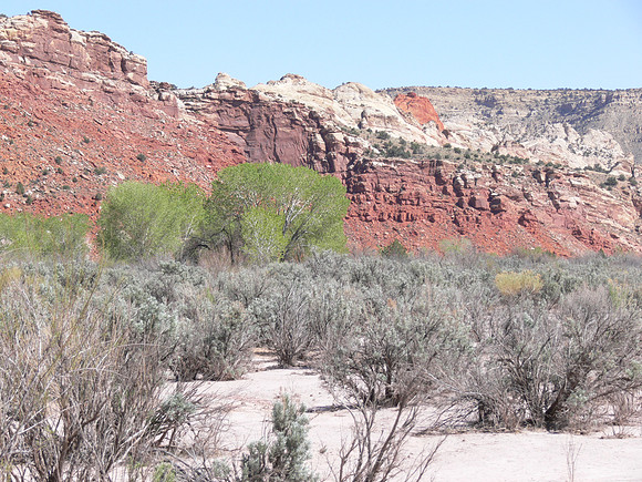 UtahTW2007 231.jpg