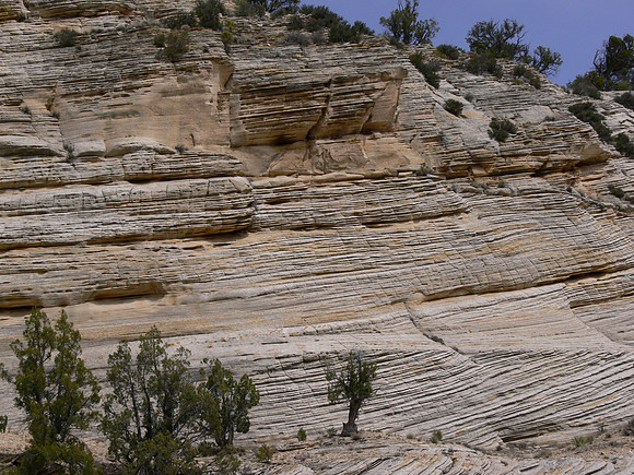 UtahTW2007 316.jpg