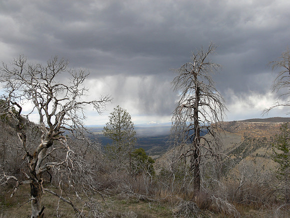 Mesa Verde National Park - Southwest Colorado