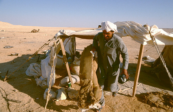 The Oasis at Siwa, Egypt