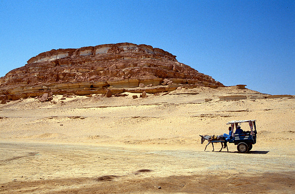 The Oasis at Siwa, Egypt