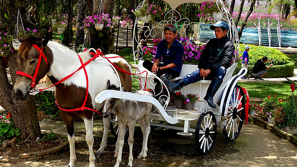 Da Lat Flower Park