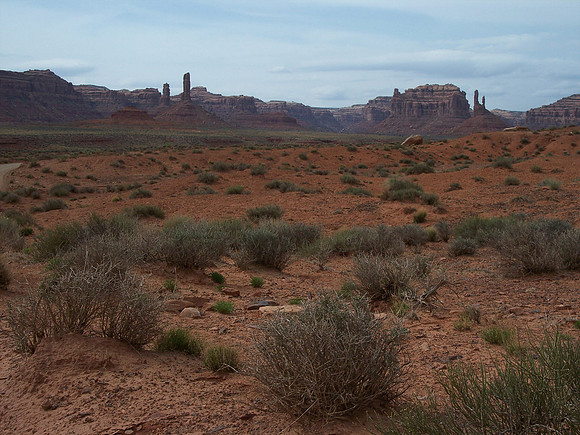 UtahRW2007 108.jpg