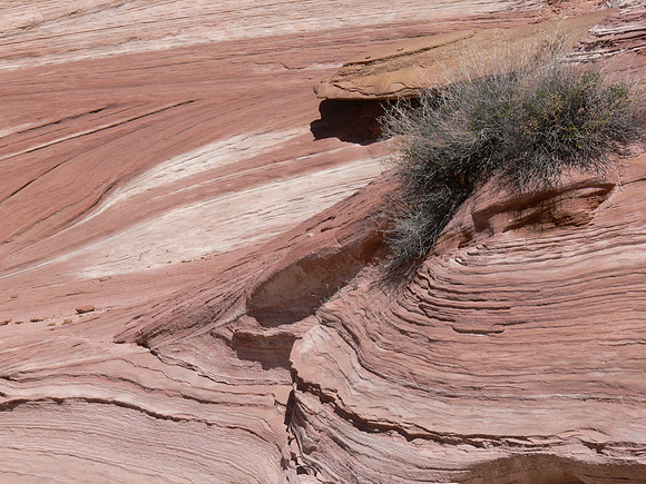 UtahTW2007 188.jpg