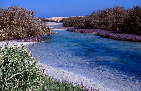 Ras Mohammed Mational Park