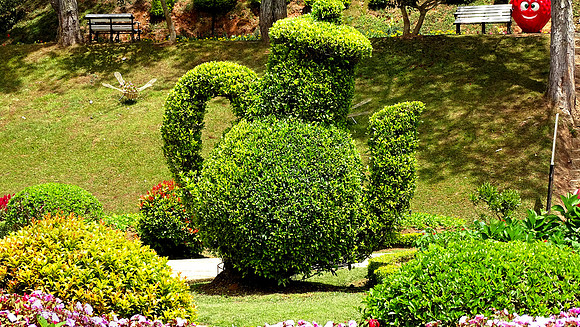 Da Lat Flower Park