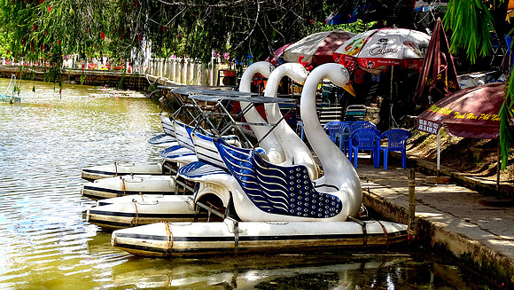 Da Lat Flower Park