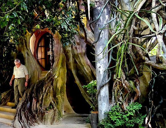 Hang Nga Guesthouse - "The Crazy House"