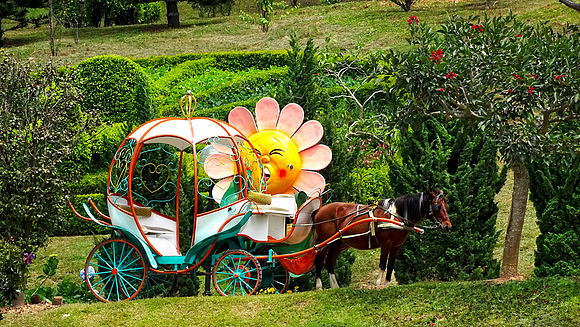Da Lat Flower Park