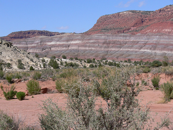 UtahTW2007 211.jpg