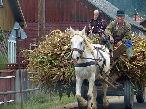 Suceava, Romania