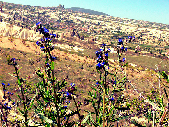 Cappadocia area in Turkey