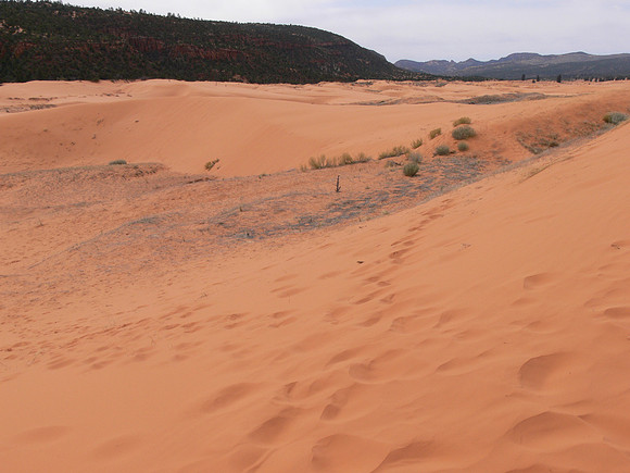 UtahTW2007 299.jpg