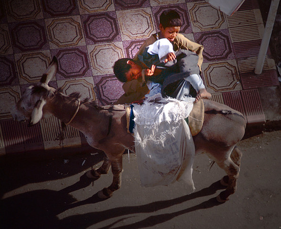 A young boy loads his brother onto a Donkey.