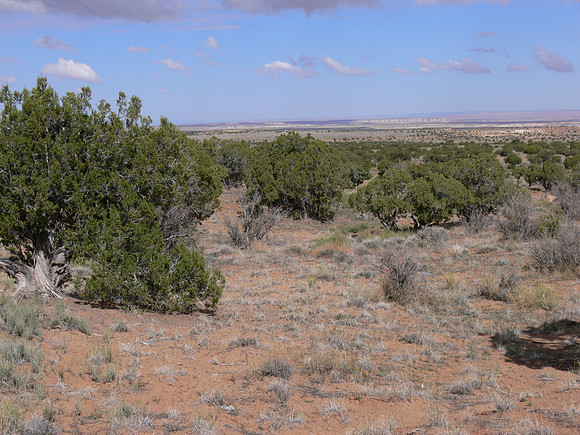 UtahTW2007 277.jpg