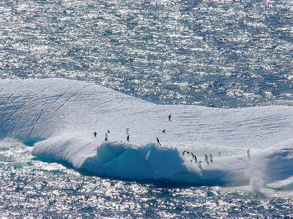 Neumayer Channel - Antarctica