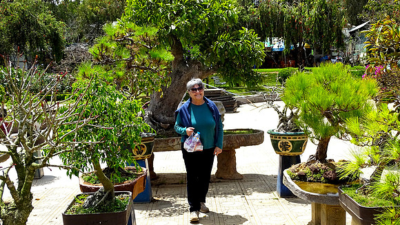 Da Lat Flower Park