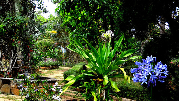 Truc Lam Zen Monastery