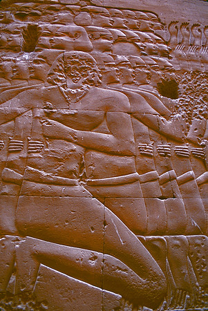 Temple at Edfu , 60 miles south of Luxor.  It was begun on August 23, 237 BCE, by Ptolemy III.